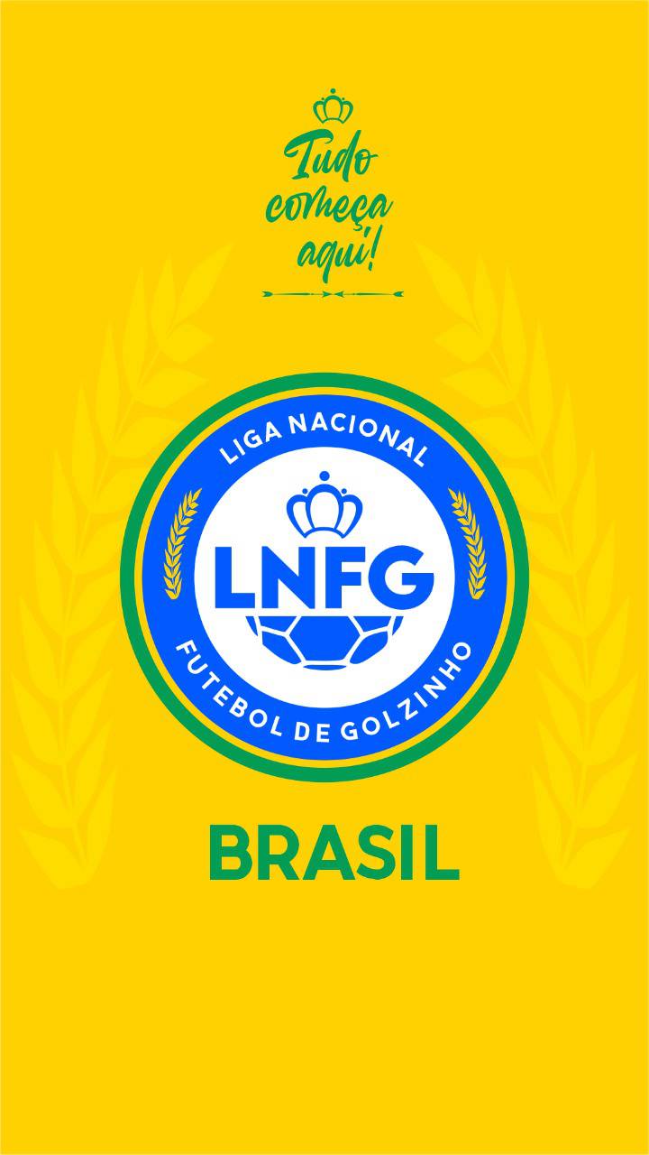 FUTEBOL DE GOLZINHO